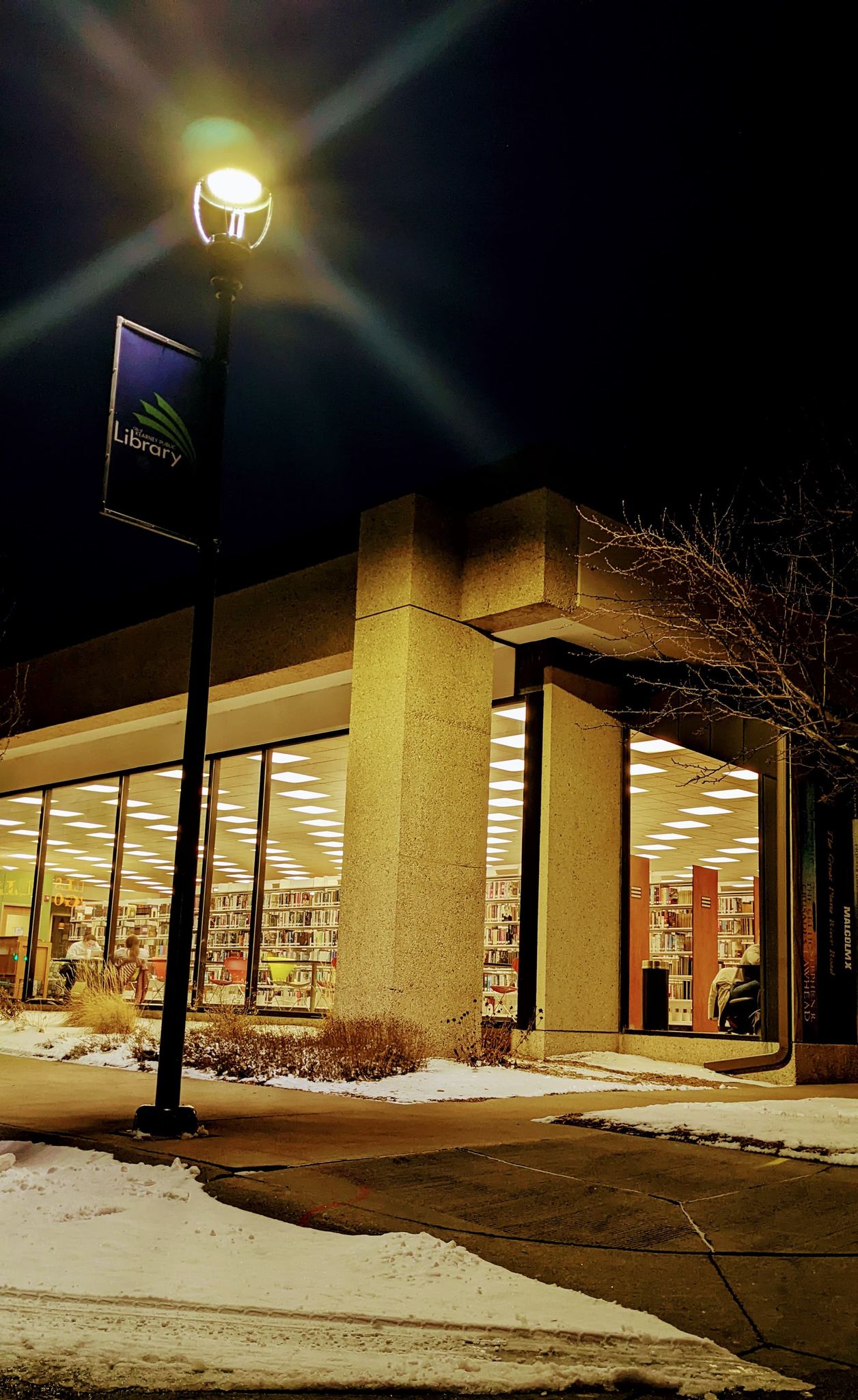 Library Narnia Vertical